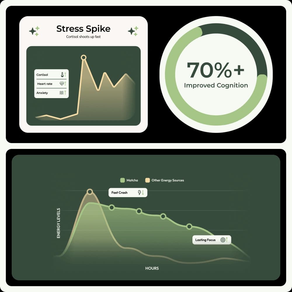 Mind Matcha charts and science-inspired visual elements